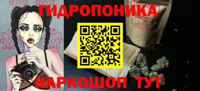 твердый Будённовск