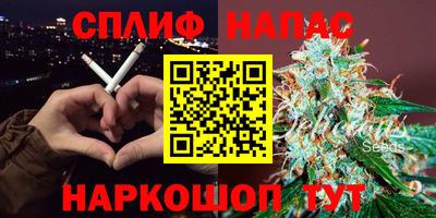 твердый Будённовск