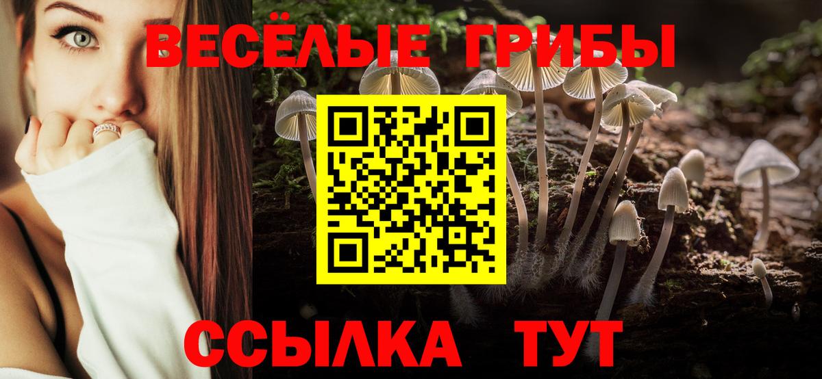 Галлюциногенные грибы прущие грибы  Галлюциногенные грибы Psilocybe  закладки  Вход с VPN  Советский 